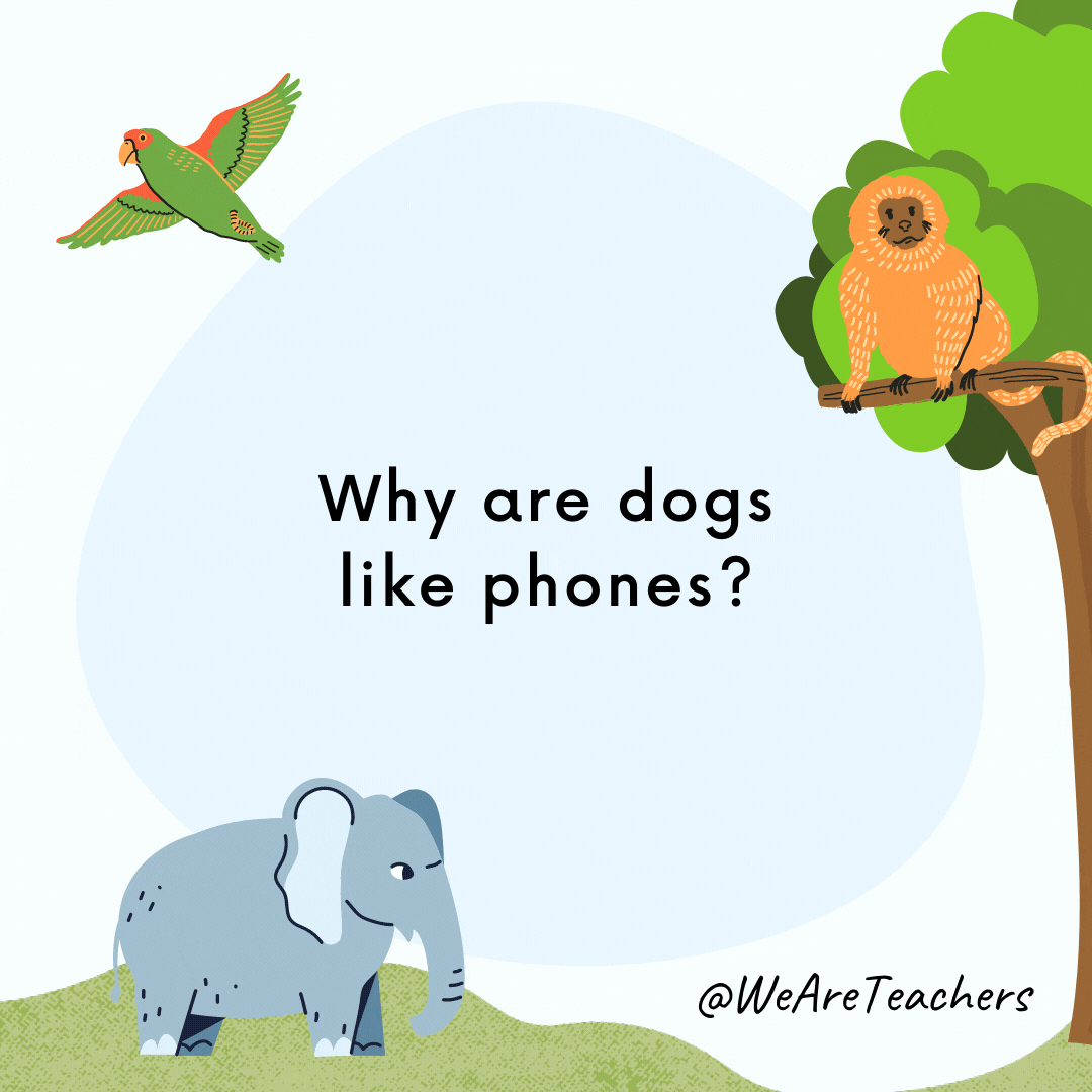 Why are dogs like phones? Because they have collar IDs.