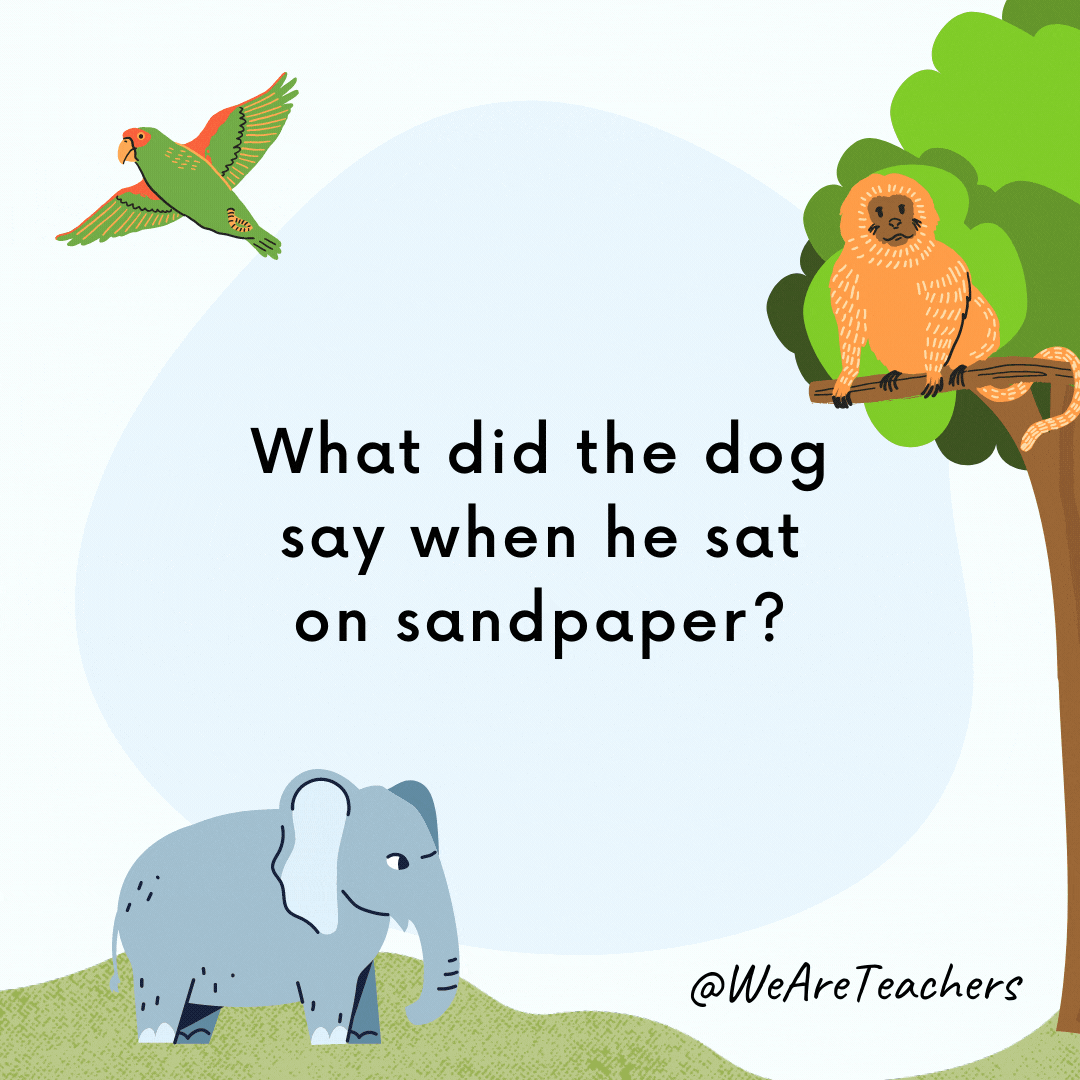 What did the dog say when he sat on sandpaper? “Ruff!” 