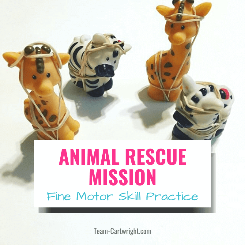 Several plastic animals are wrapped up in elastics (fine motor activities)