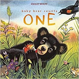 Book cover for Baby Bear Counts One as an example of preschool books