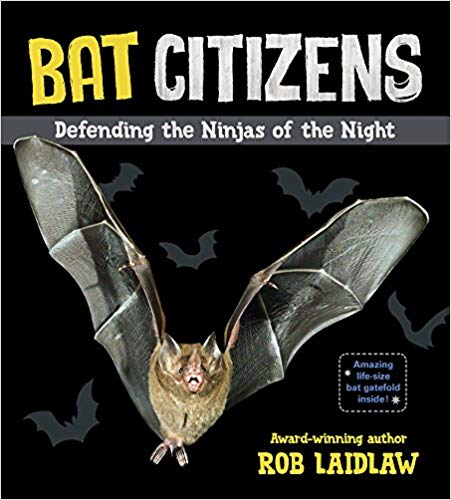 Cover of 'Bat Citizens' by Rob Laidlaw- 4th grade books