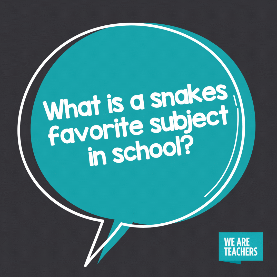 What is a snakes favorite subject in school?