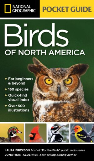Book cover: National Geographic Pocket Guide to the Birds of North America
