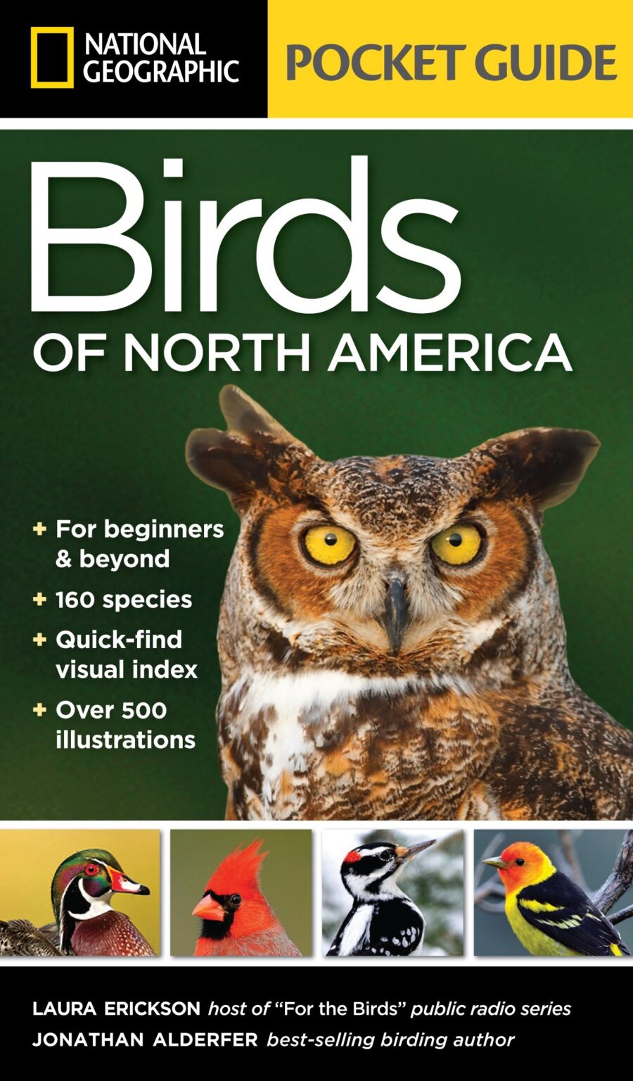 Bird Books for Kids, as Recommended by Teachers