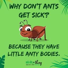 illustration of an ant with joke insect activities: Why don't ants get sick? Because they have little anty bodies.