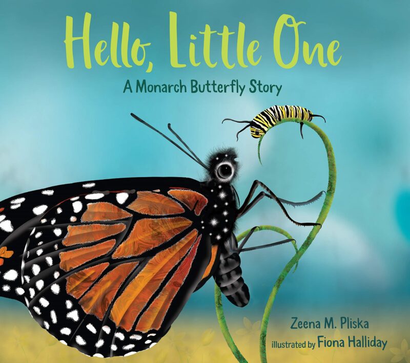Book cover of "Hello, Little One," as an example of butterfly books for kids
