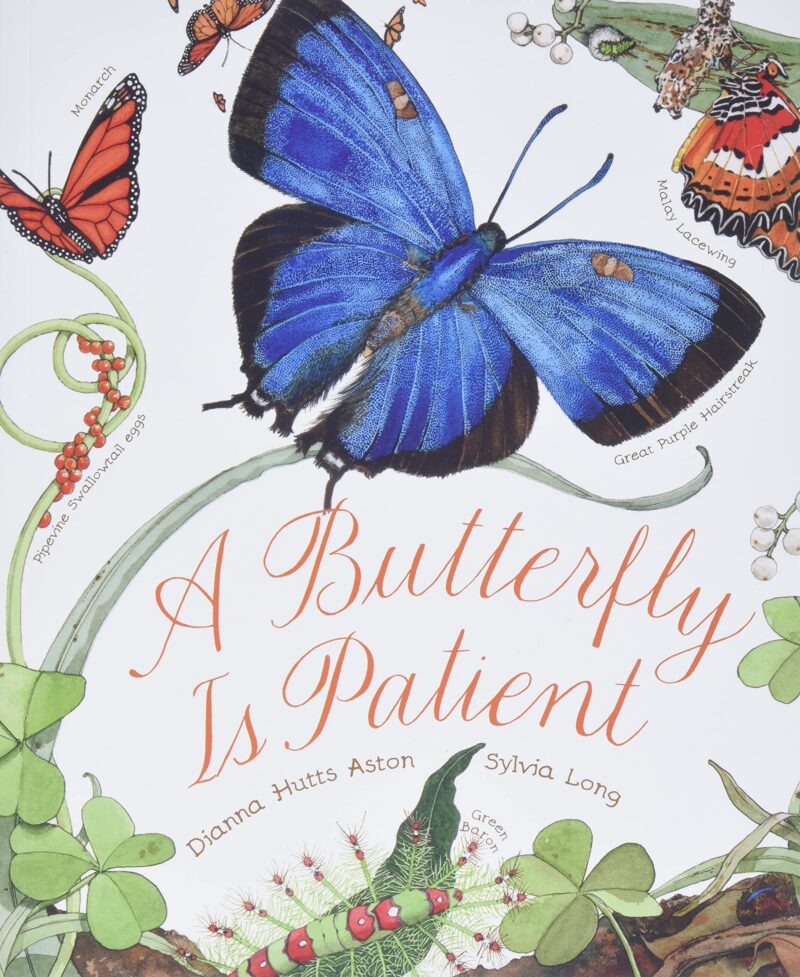 Book cover of "A Butterfly is Patient"