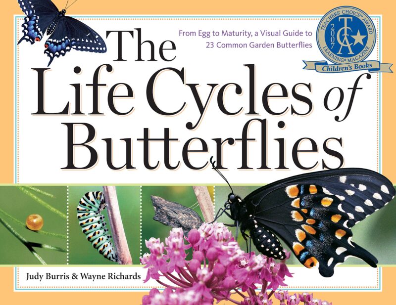 Book cover of "The Life Cycles of Butterflies" - butterfly books for kids