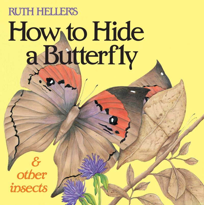 Book cover of "How to Hide a Butterfly"
