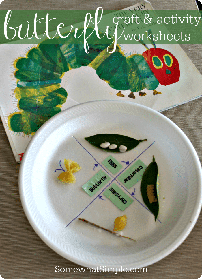 A white plate is divided into four categories, egg, caterpillar, chrysalis, and butterfly. 
