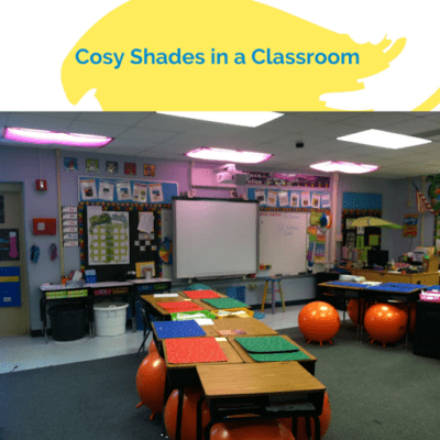 13 Calming Classroom Theme Ideas To Stop the Chaos