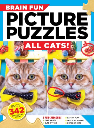 Book cover of Brain Fun Picture Puzzles: All Cats! by Michele Filon with photos of two identical cats wearing bow ties with the difference circled in red