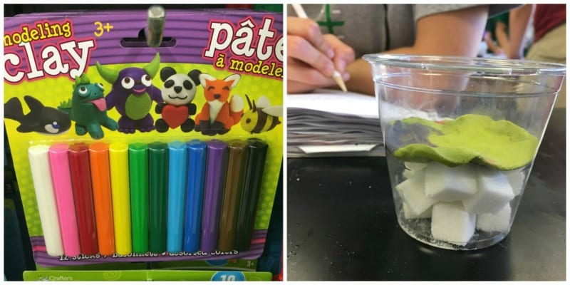 Inexpensive Science Experiments for the Classroom - WeAreTeachers