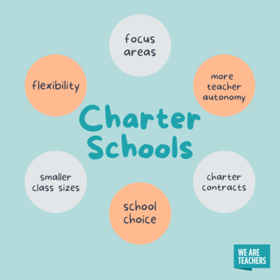 Charter school graphic with different details about charter schools.