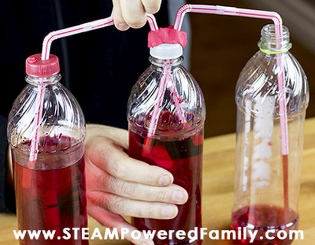 Child's hand pumping a heart model made from plastic bottles and drinking straws (Circulatory System Activities)