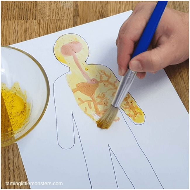 Student using DIY invisible ink to reveal a hidden drawing of the circulatory system- circulatory system activities