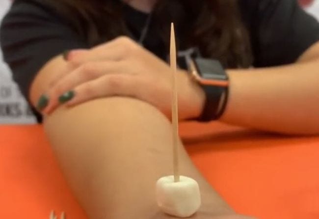 Student's arm with a marshmallow with a toothpick in it resting on her wrist