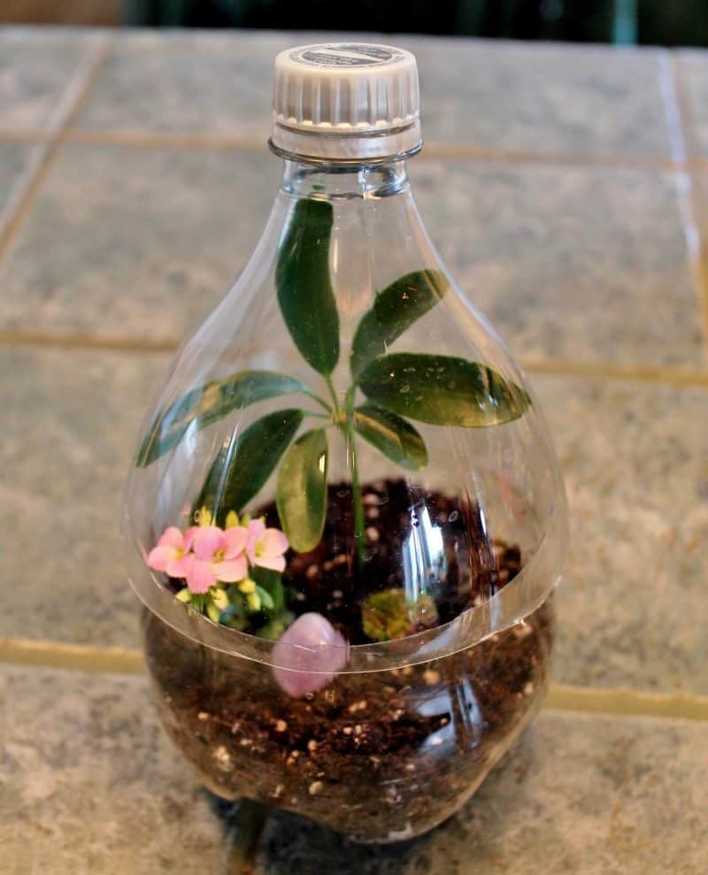 Earth day project using a Coke bottle