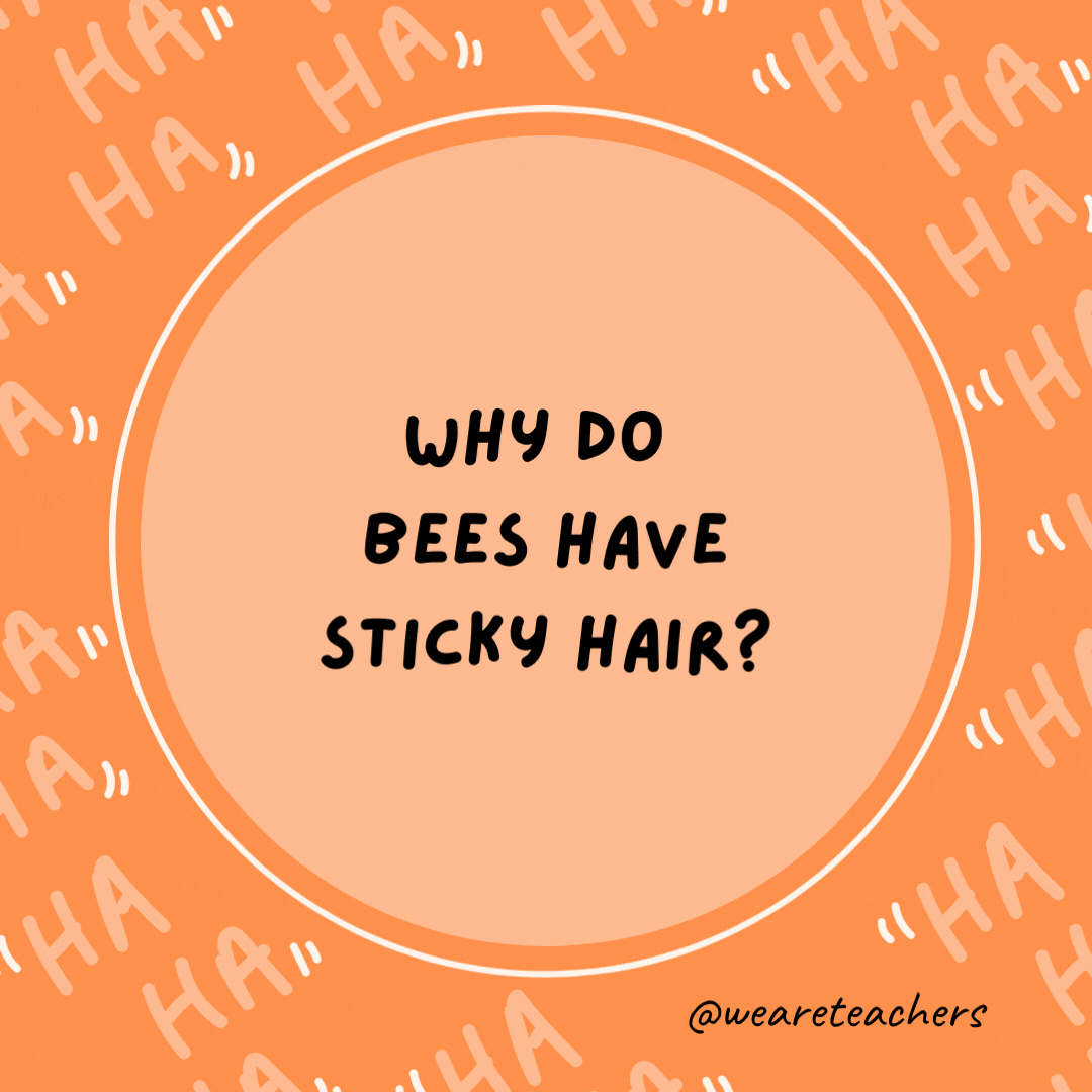 Why do bees have sticky hair? Because they use a honeycomb.