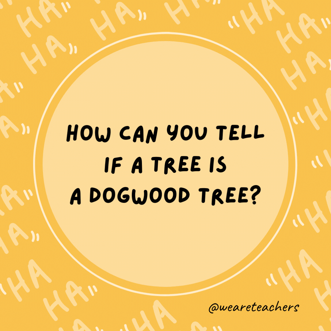 How can you tell if a tree is a dogwood tree?  By its bark.