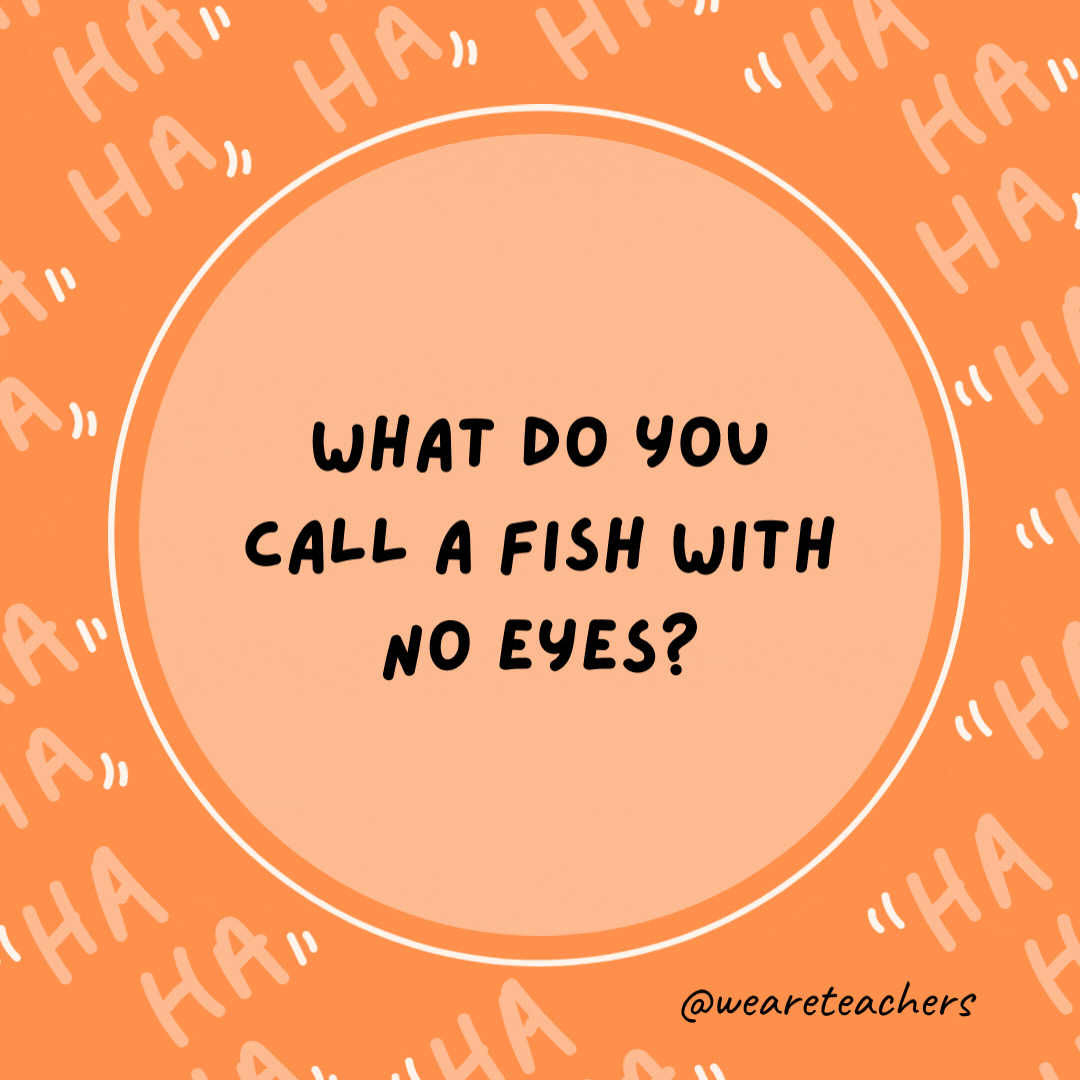 What do you call a fish with no eyes?  A fsh.