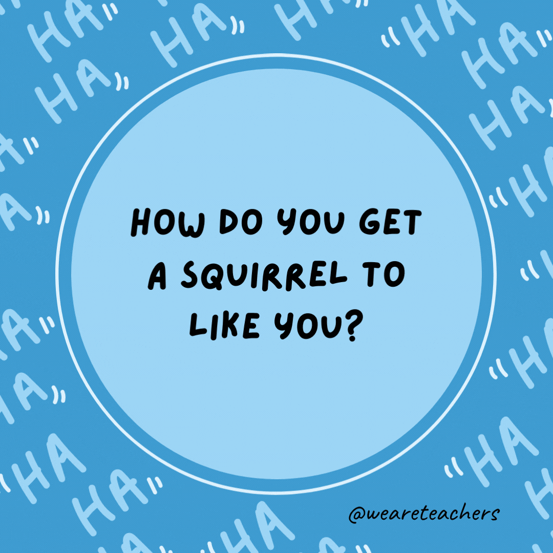 How do you get a squirrel to like you?  Act like a nut.