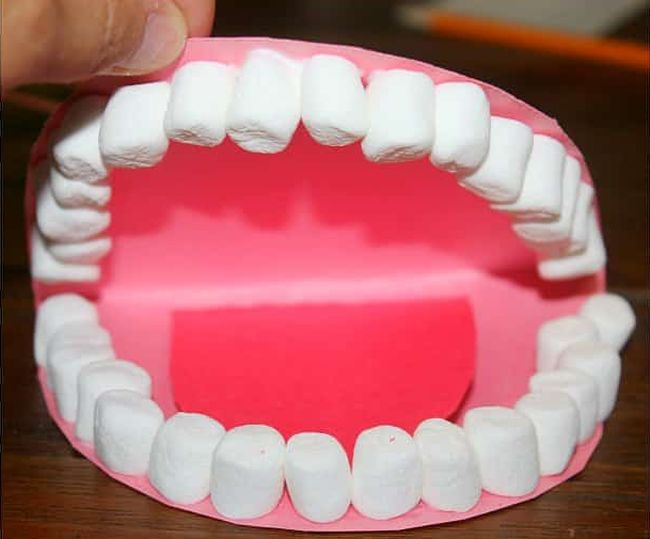 Model mouth made from construction paper and marshmallows (Dental Activities for Preschoolers)