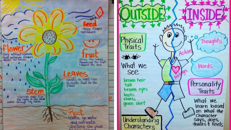 Collage of anchor charts (Differentiated Instruction Strategies)