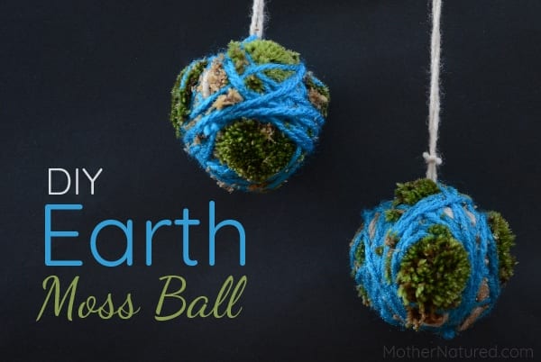 DIY Earth Day Moss Ball