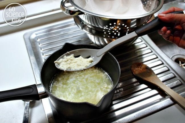 Pot of cooked milk separated into curds and whey, with a spoon holding up some of the curds (Edible Science)