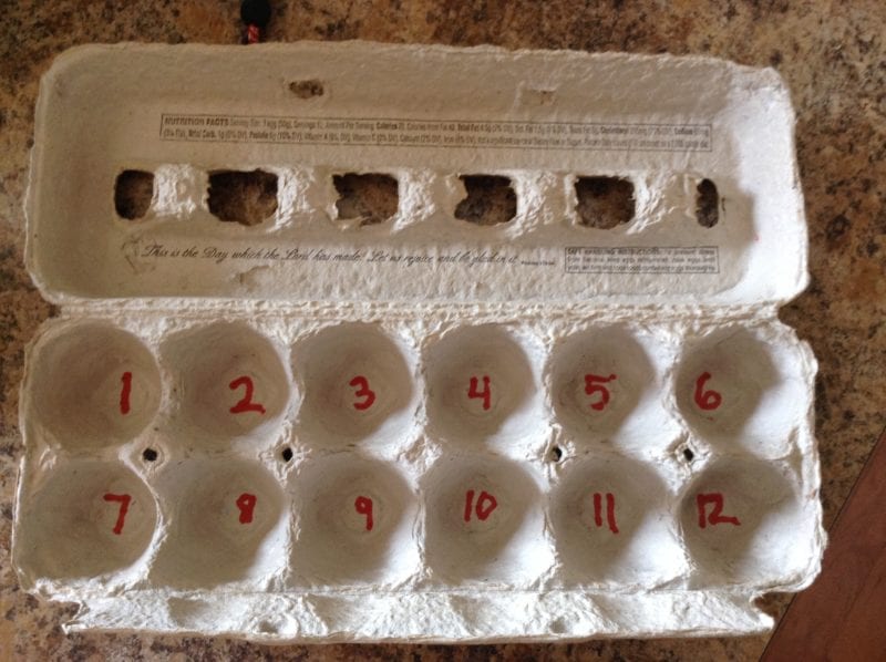 Empty egg carton with numbers drawn in the crevices (Practice Math Facts)