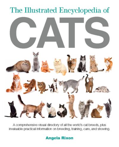 Çeşitli kedi türlerinin fotoğraflarıyla Angela Rixon'un The Illustrated Encyclopedia of Cats kitabının kapağı