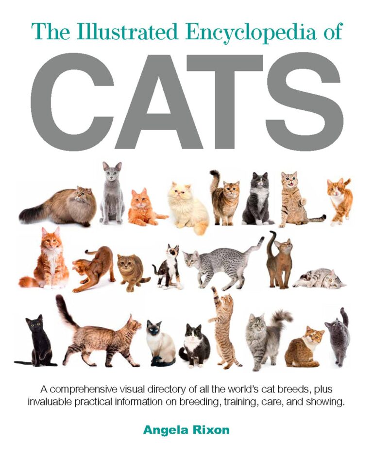 Best Cat Books for Kids, as by Teachers