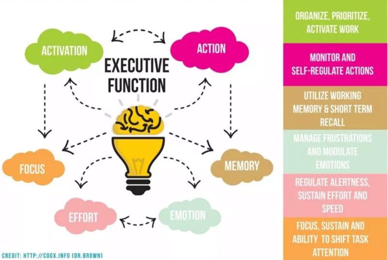 Infographic describing executive functioning skills