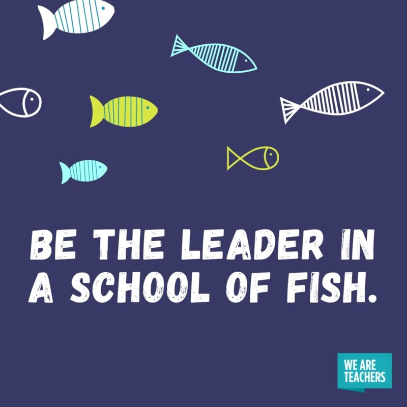 Be the leader in a school of fish.