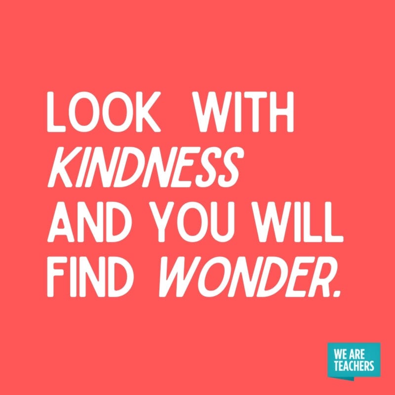 Look with kindness and you will find wonder.