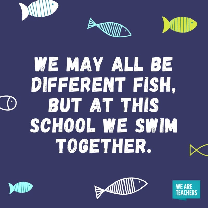 We may all be different fish, but at this school we swim together.