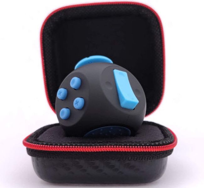 Black and blue fidget cube in a zippered case