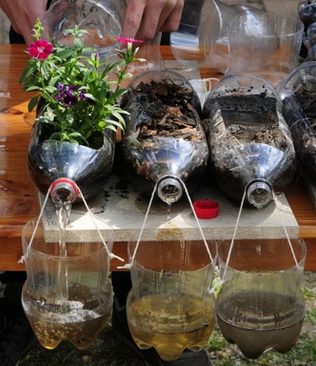 Three soda bottle plants with containers set up to catch water and soil