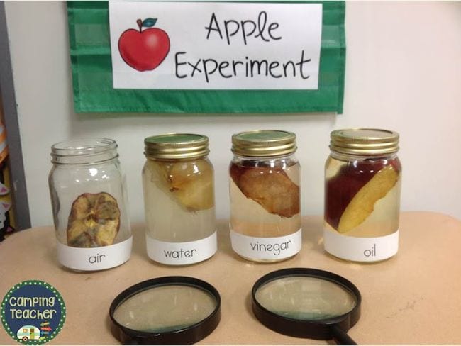 Science Experiments For First Grade Students