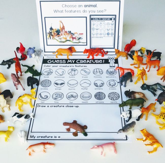 Toy animals with a worksheet for sorting them by feature