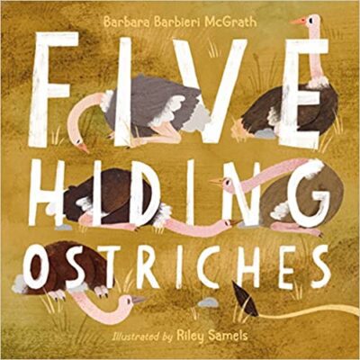 Book cover for Five Hiding Ostriches as an example of preschool books