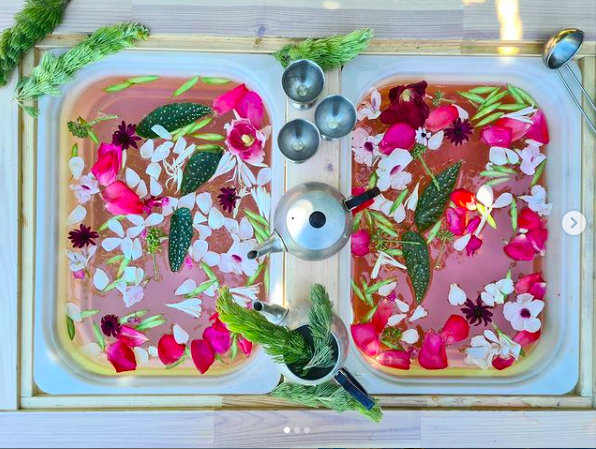 Flower petals and colored water in a sensory table for classroom sensory play
