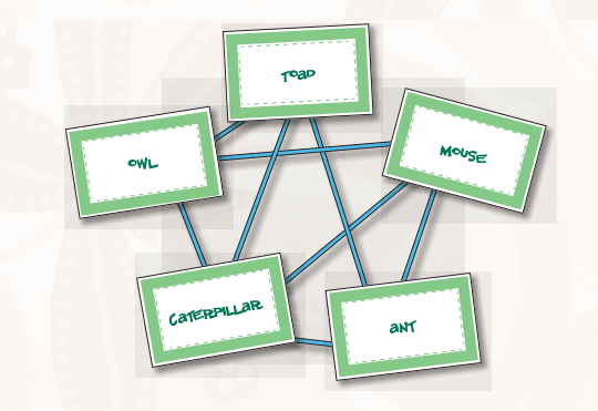 drawing of a food web activity