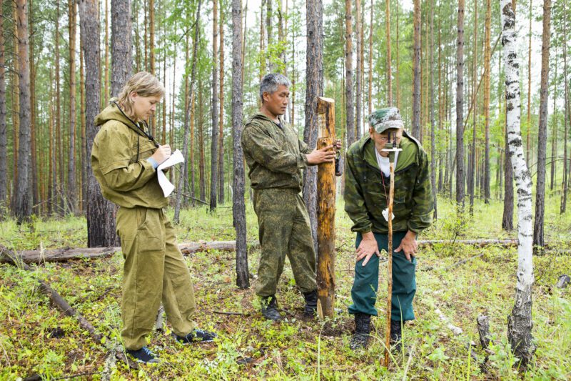 Forestry inspector with a group of foresters marking out the plot for sanitary felling of the forest.Determination of the direction and marking of the site of sanitary felling of the forest with the help of the geodesic compass.
