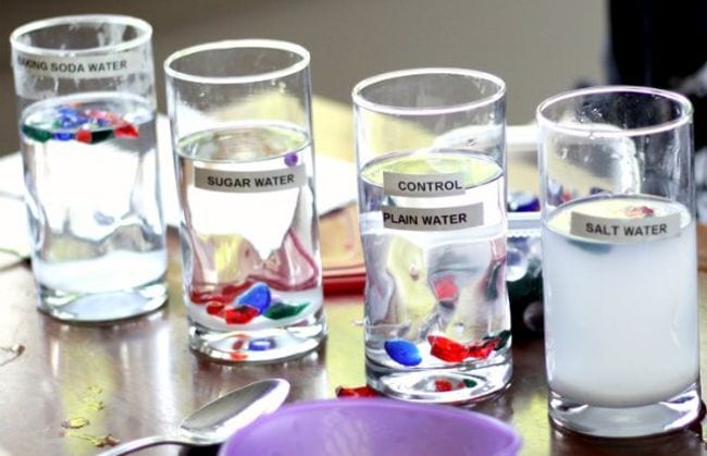 Serie de vasos llenos de líquido etiquetados como agua con bicarbonato, agua con azúcar, agua corriente de control y agua salada, con objetos rojos y azules flotando en cada uno