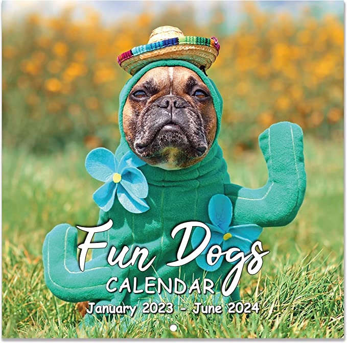 Dog dressed as cactus on a funny dog calendar