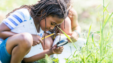 African American girl doing insect activities outdoors, bent down exploring in grass with magnifying glass