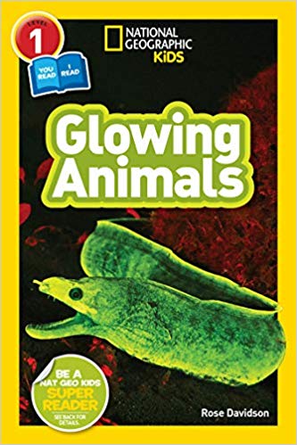 Book cover for National Geographic Co-Reader Glowing Animals