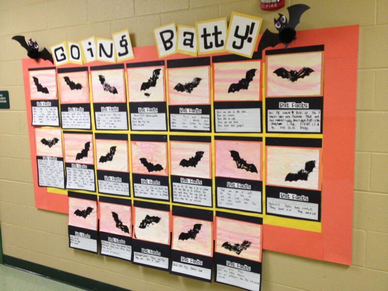 Fall bulletin boards include ones about bats like this one that says "Going Batty" across the top. Student worksheets on bats make up the rest of it.